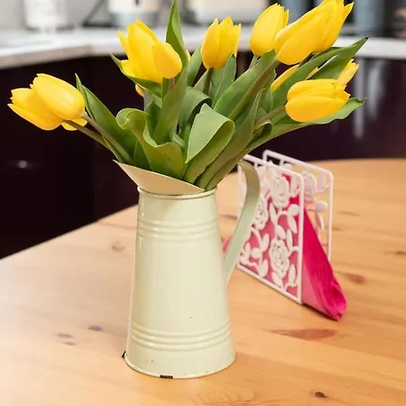 Appartement Luxury Apartment, Galway