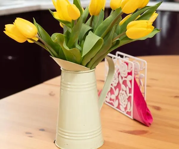 Appartamento Luxury Apartment, Galway